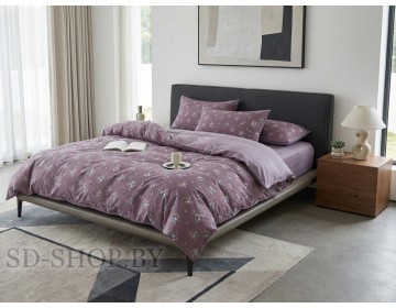 Постельное белье "Арт. 2570" Твил-Сатин пр-во Барановичи (РБ)