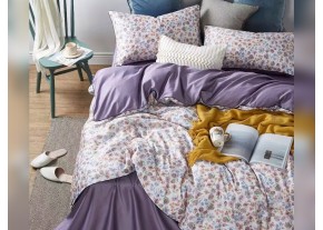 Постельное белье "Арт. 2629" Твил-Сатин пр-во Барановичи (РБ)