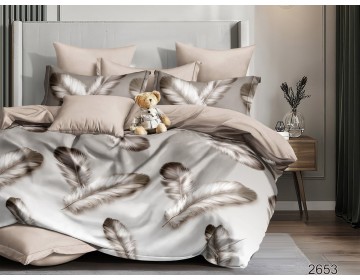 Постельное белье "Арт. 2653" Твил-Сатин пр-во Барановичи (РБ)