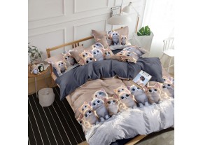 Постельное белье из поплина "Арт. 1608" 100% хлопок пр-во Барановичи (РБ)