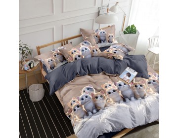 Постельное белье из поплина "Арт. 1608" 100% хлопок пр-во Барановичи (РБ)