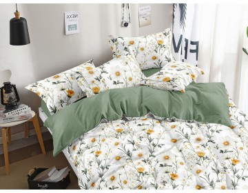 Постельное белье из поплина "Арт. 1669" 100% хлопок пр-во Барановичи (РБ)