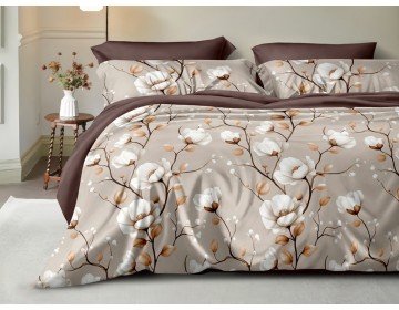 Постельное белье из поплина "Арт. 8043" 100% хлопок пр-во Барановичи (РБ)