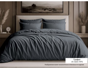 Постельное белье "Графитовый Арт. 18-0201" однотонный Сатин 100% хлопок  пр-во Барановичи (РБ).