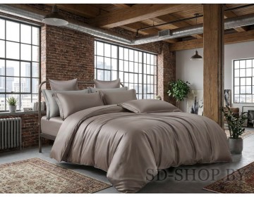 Постельное белье "ЗОЛА Арт. 17-1506" однотонный Сатин 100% хлопок  пр-во Барановичи (РБ).