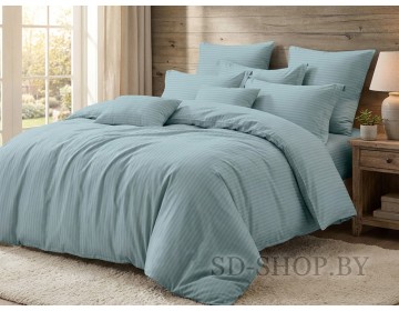 Постельное белье Страйп-Сатин "Арт. 14-4504" 100% хлопок СонМаркет (Барановичи).