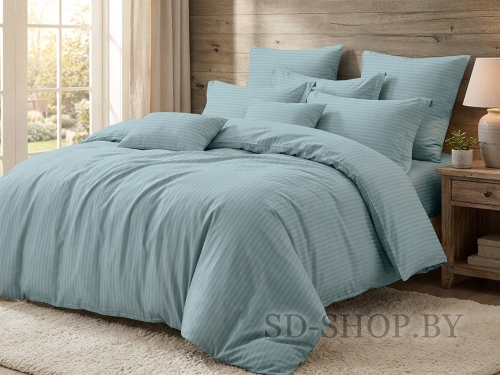 Постельное белье Страйп-Сатин "Арт. 14-4504" 100% хлопок СонМаркет (Барановичи).