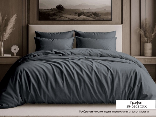 Постельное белье "Графитовый Арт. 18-0201" однотонный Сатин 100% хлопок  пр-во Барановичи (РБ).