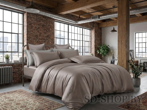 Постельное белье "ЗОЛА Арт. 17-1506" однотонный Сатин 100% хлопок  пр-во Барановичи (РБ).
