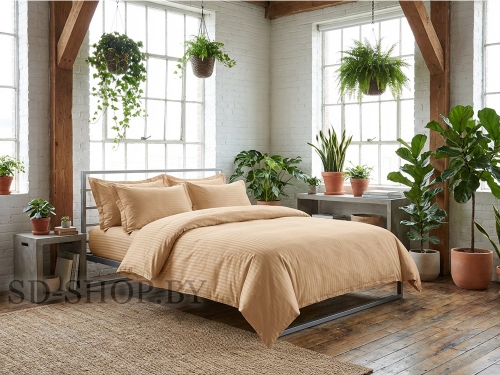 Постельное белье Страйп - Сатин "Миндаль" 100% хлопок  пр-во Барановичи (РБ).