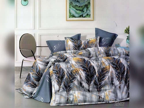 Постельное белье "Арт. 2657" Твил-Сатин пр-во Барановичи (РБ)