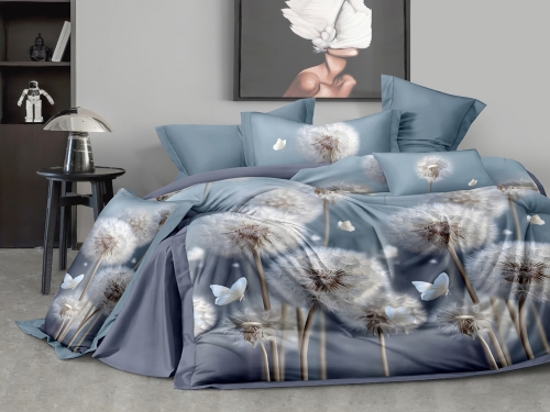 Постельное белье из поплина "Арт. 8096" 100% хлопок пр-во Барановичи (РБ)